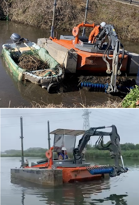 外来水生植物除去作業